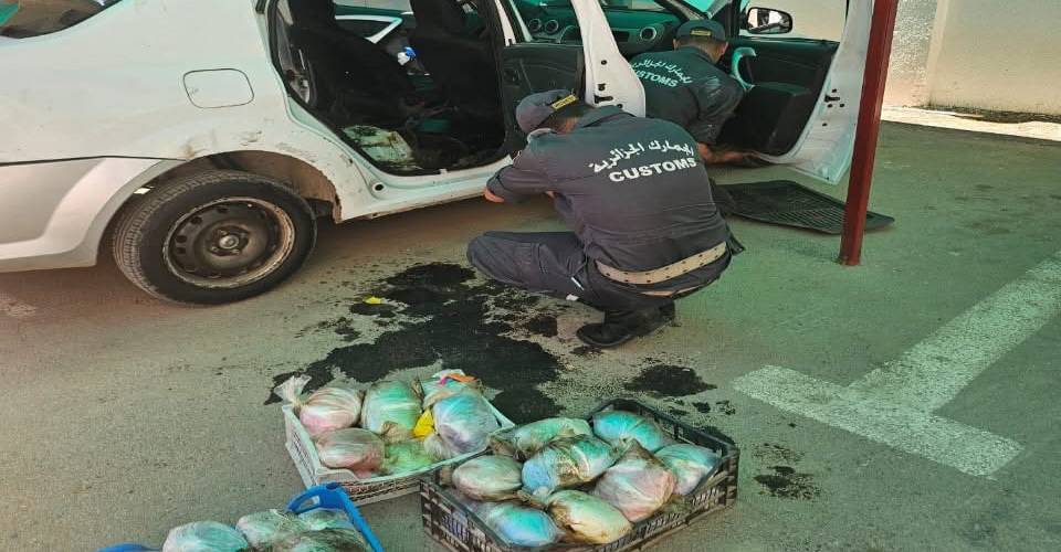 Chlef : plus de 21 kilogrammes de kif traité saisis par les douanes et la sécurité